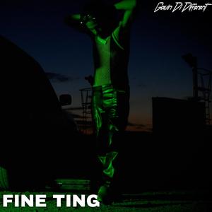 Fine Ting
