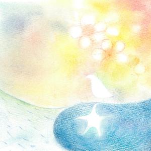 サイダーライナー