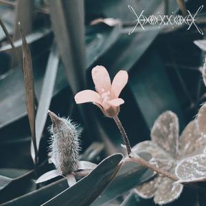 The Melancholy Of A Fallen Angel (Bonus Track)