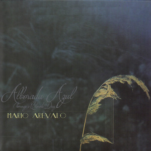 Variaciones Sobre Un Tema de Rodrigo Riera