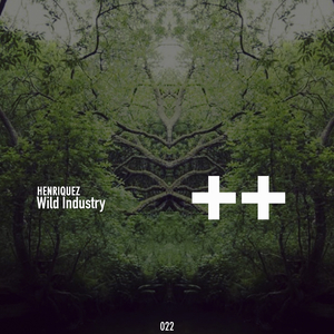 Wild Industry (Original Mix)