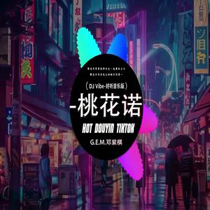 桃花诺 Dj ｜抖音歌 完整版｜2.26
