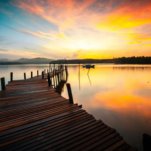 旨みぎっしり極上鯖寿司 (FOOD MUSIC)