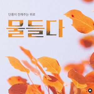 소리내어 우는 갈대