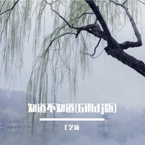 知道不知道(G调dj版)