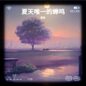 夏天唯一的蝉鸣 伴奏