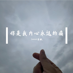 我还是不能忘记你