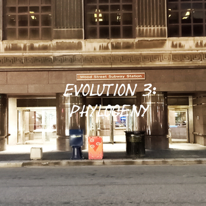 Phylogeny