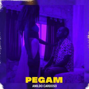 PEGAM