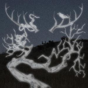 carcass (feat. Nosgov)