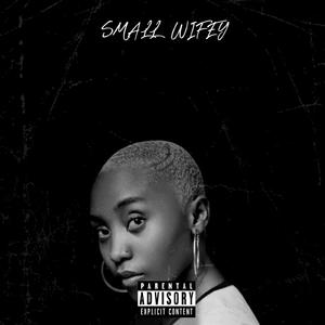 Small Wifey Freestyle (feat. Gleekie, STRM YP, Da'maestro & COzMIC)