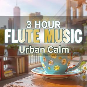 Urban Calm | 3 Hour Flute Music for Focus, Relaxation & City Ambience (都会の静けさ / 도시의 평온)