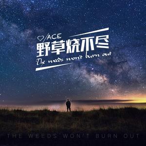 野草烧不尽
