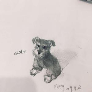 哥本哈根的另一个我