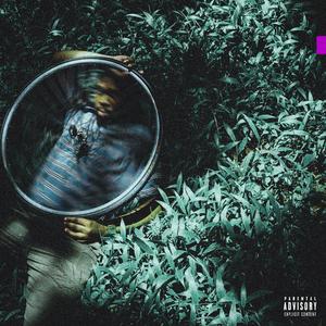 THE BIKE SONG (feat. Robot Koch)