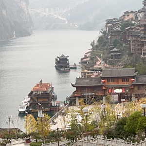 冬去花开花又败