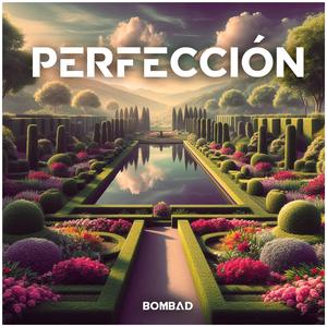 PERFECCIÓN