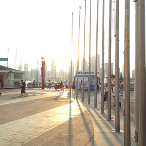 旺芙蓉企业之歌