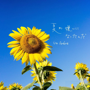 夏が嫌いになったんだ