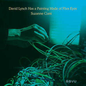 David Lynch Has a Painting Made of Flies Eyes