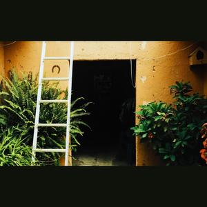 Looking for a Stranger