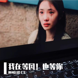 我在等风！也等你（DJ全旋律）