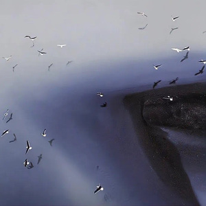 极光