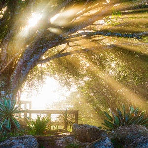 명상에 어울리는 뉴에이지