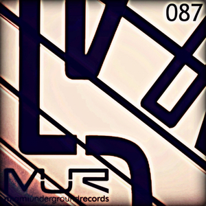 Racoons (Original Mix)