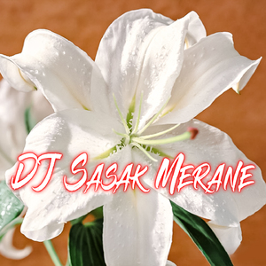 DJ Sasak Merane