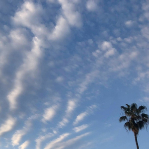 Canção Perfeita (Para Se Escutar Em uma Noite de Verão)
