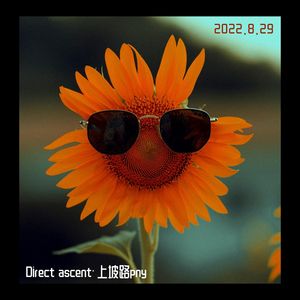 【Free beat】“花花疯子！”