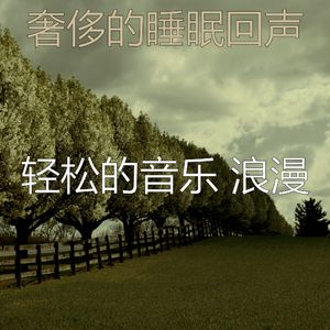 抚慰的睡眠回忆