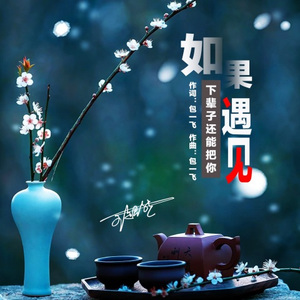 如果下辈子还能把你遇见