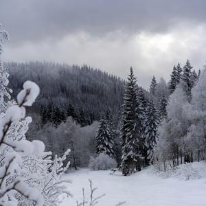 Whachu Want From Me?