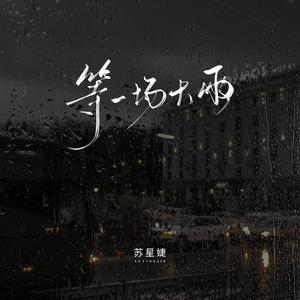 等一场大雨（错爱版）