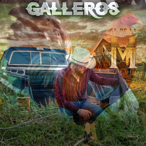 Galleros