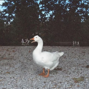 量子间的思念纠缠