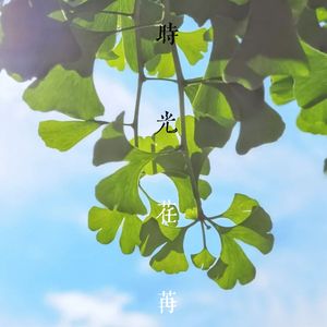 时光荏苒