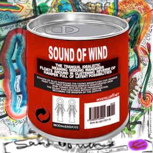Sound of Wind