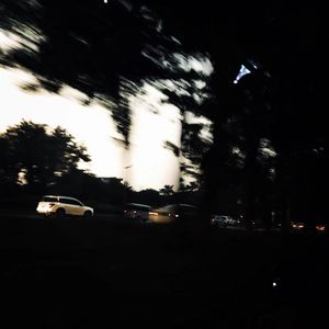 都市丽人生存报告part