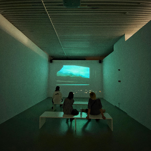 落落落(Echos of the Fall)