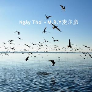 Tăng Duy Tân-Ngây Thơ（抖音DJ版）（M.R.Y麦尔彦 remix）