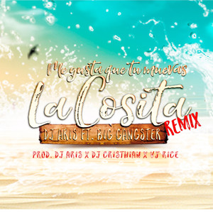 Me Gusta Como Mueves La Cosita (feat. Big Gangster) [Remix]