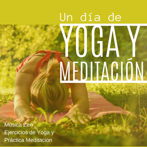 Yogui