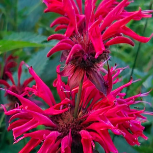 Idk what to name songs anymore lol