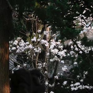 爱多一次痛多一次