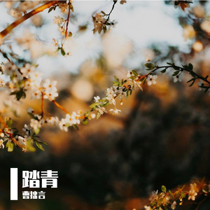 玉鸣
