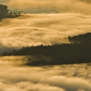如果一个女人说她要减肥不要相信那她一定是刚吃饱