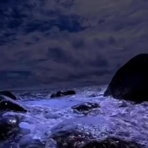 blossom (feat. ripmiln)